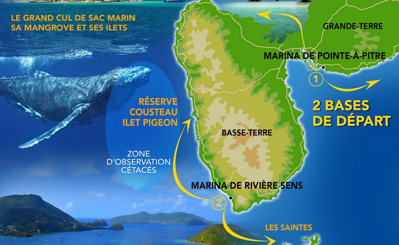 Location Bateau moteur en Guadeloupe Location Bateau moteur en Guadeloupe